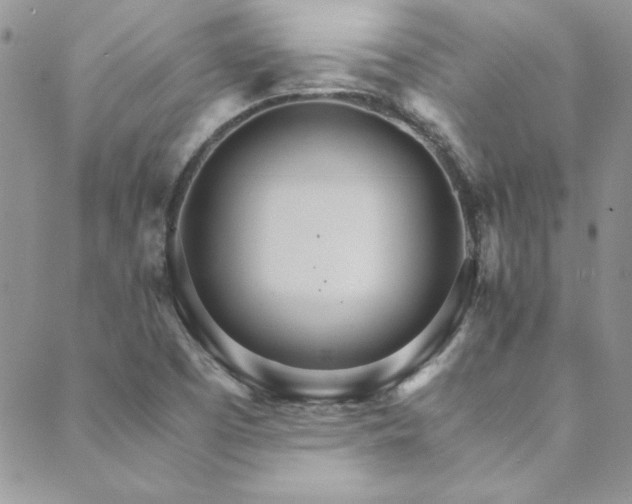 X0000089871457200706281304