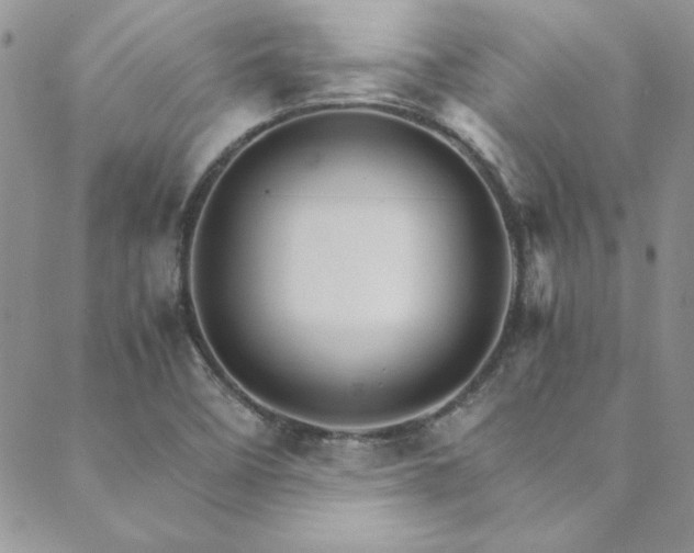 X0000089871458200706281304