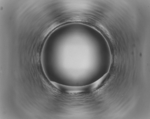 X0000089871465200706281304