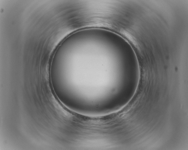X0000089871468200706281304