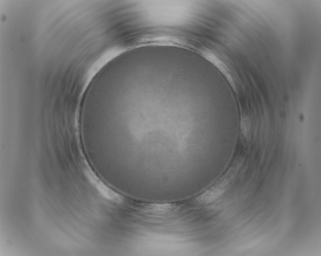 X0000089871482200706281303