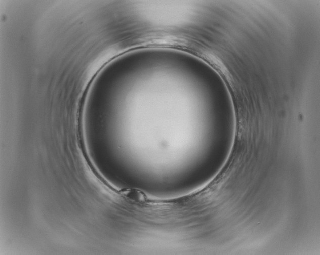 X0000089871483200706281303