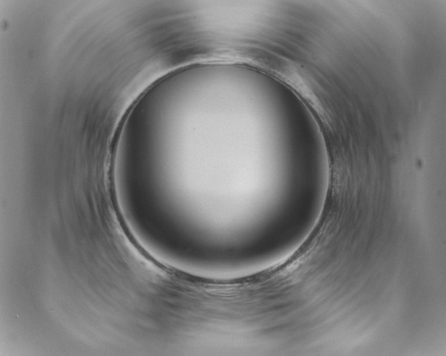 X0000089871484200706281303