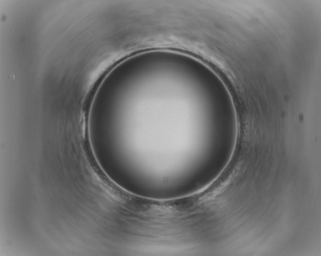 X0000089871509200706281303