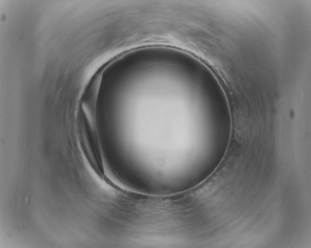 X0000089871519200706281303