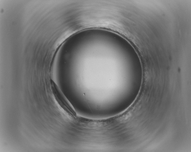 X0000089871521200706281303
