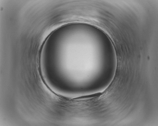 X0000089871531200706281303