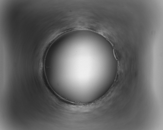 X0000089870005200707051200