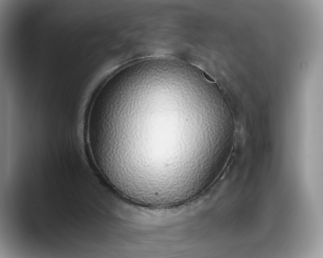 X0000089870006200707051200