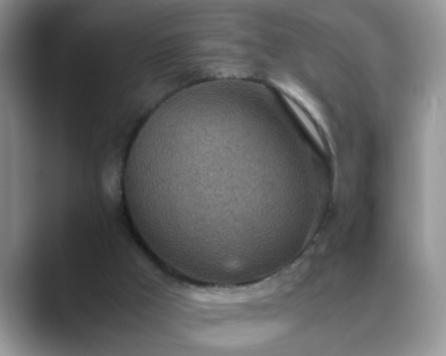 X0000089870009200707051200