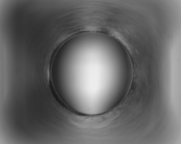 X0000089870011200707051200