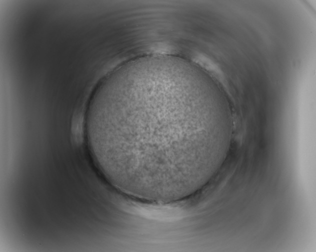 X0000089870012200707051200