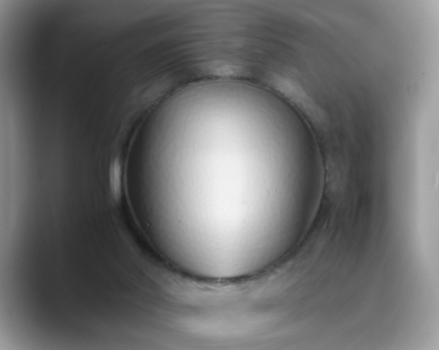 X0000089870014200707051200
