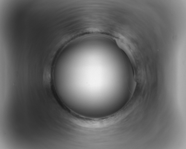 X0000089870015200707051200