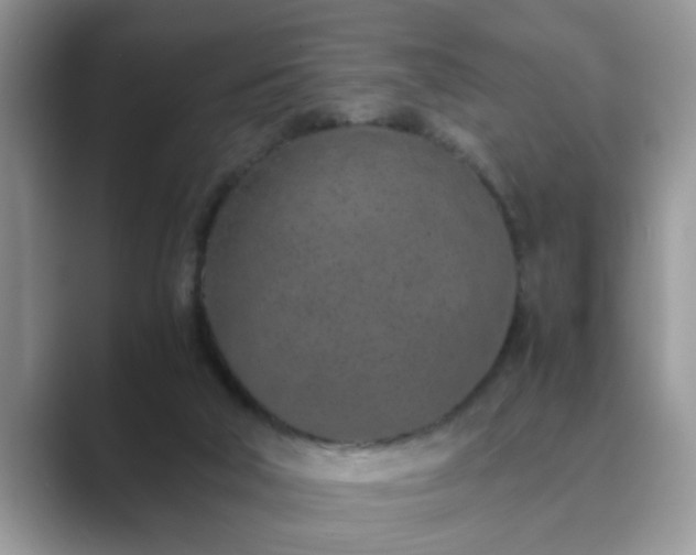 X0000089870018200707051200