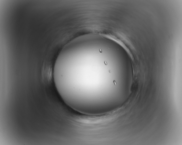 X0000089870021200707051200
