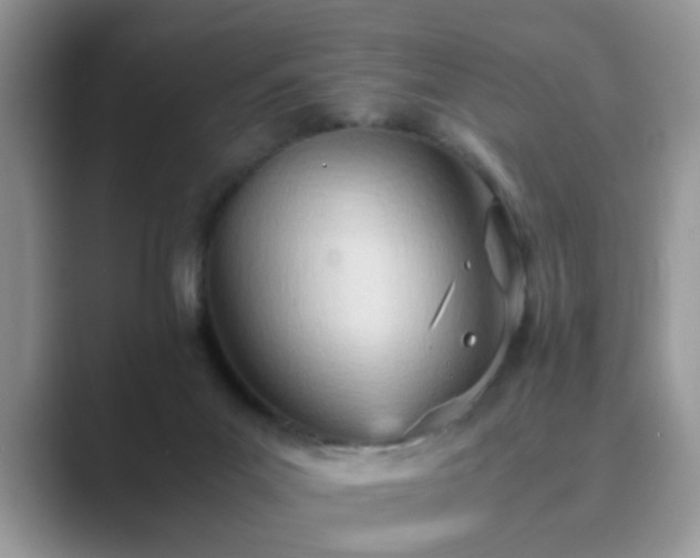 X0000089870023200707051200