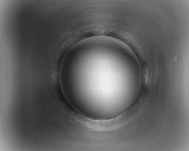 X0000089870035200707051200