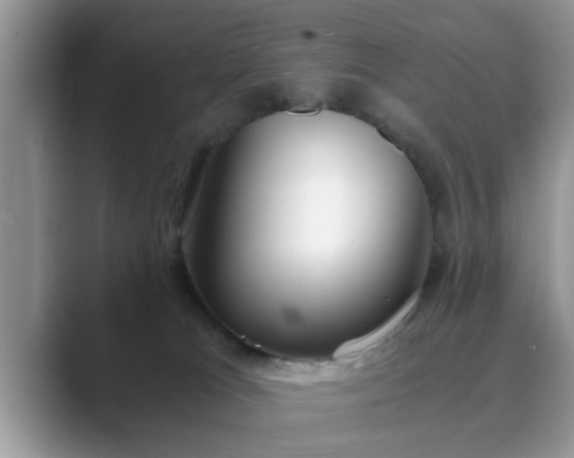 X0000089870037200707051200