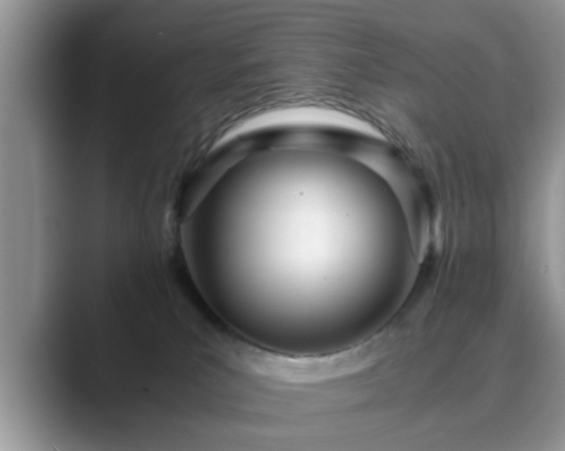 X0000089870039200707051200