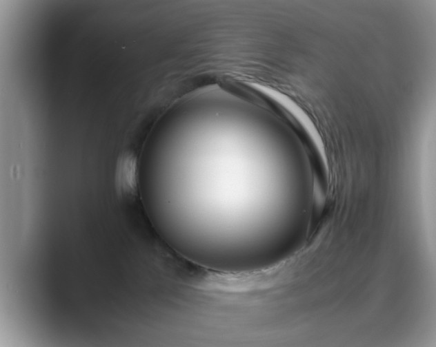 X0000089870041200707051200