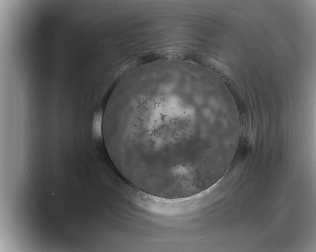 X0000089870047200707051159