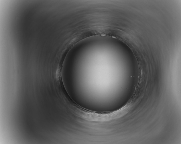 X0000089870048200707051159