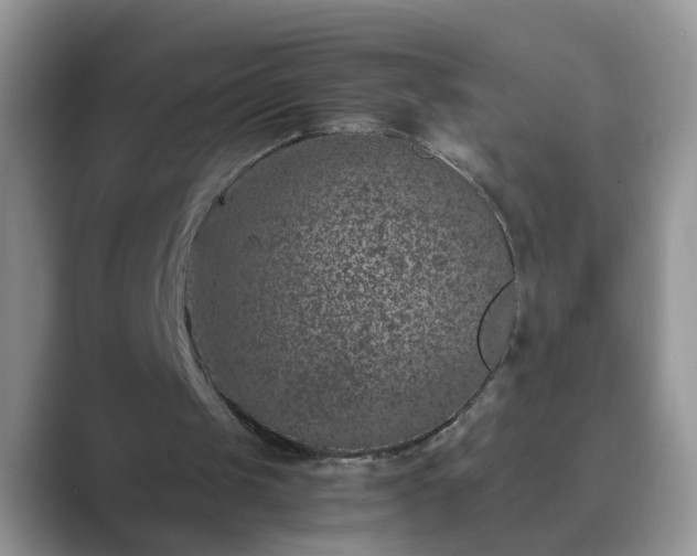 X0000089870049200707051159