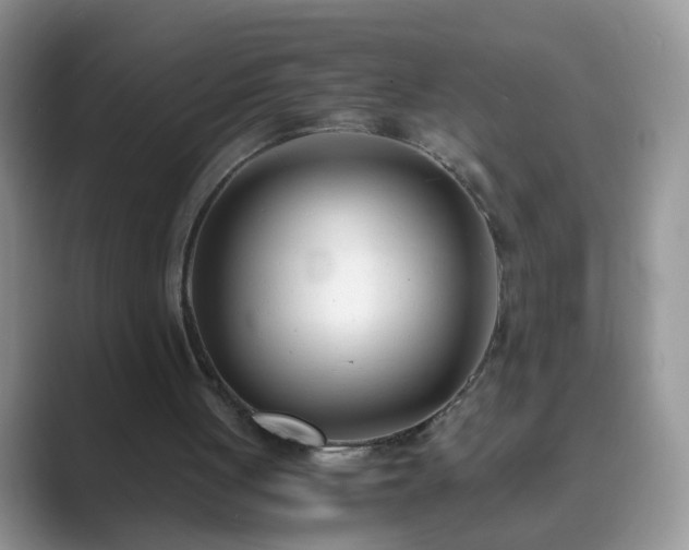 X0000089870051200707051159