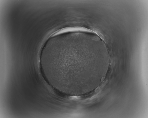 X0000089870053200707051159