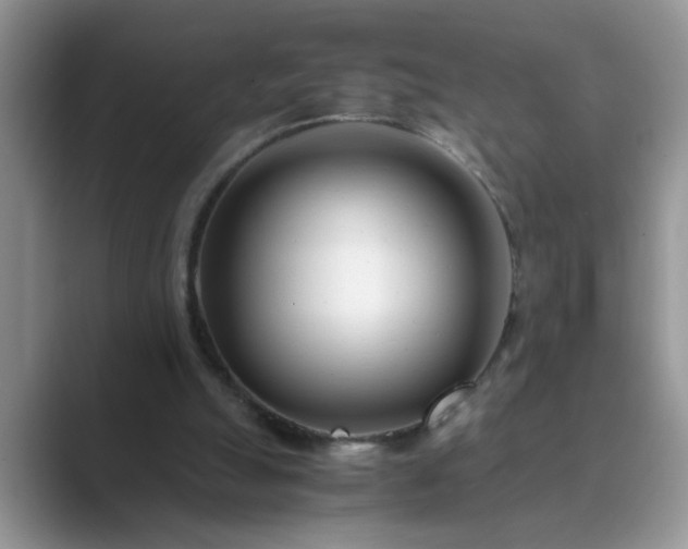 X0000089870055200707051159