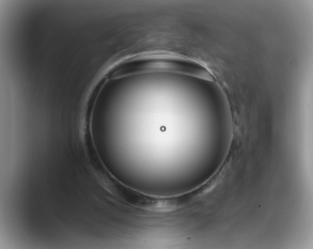 X0000089870056200707051159