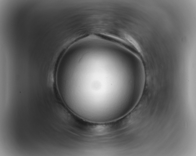 X0000089870059200707051159