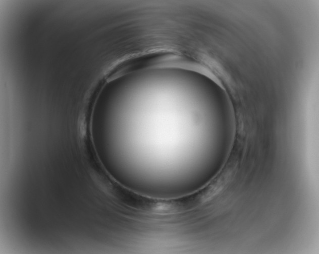 X0000089870060200707051159