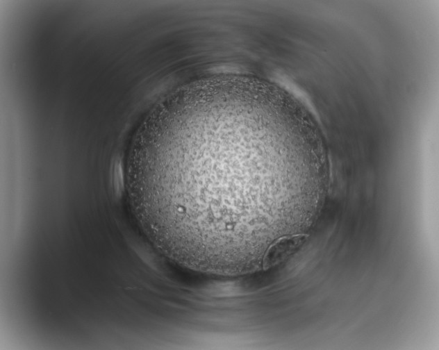 X0000089870061200707051159