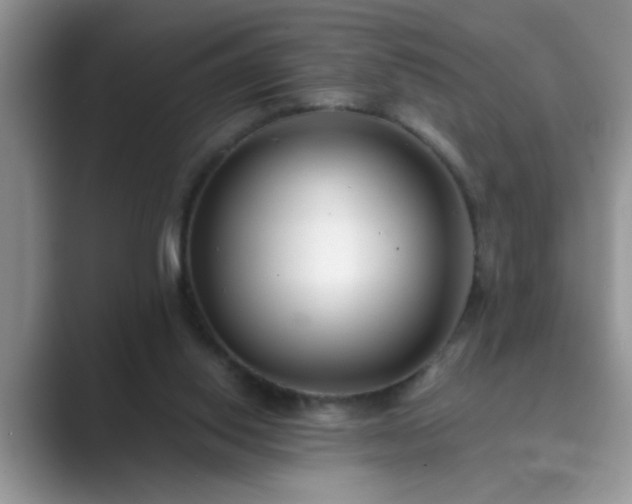 X0000089870062200707051159