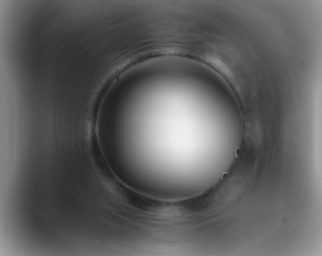 X0000089870063200707051159