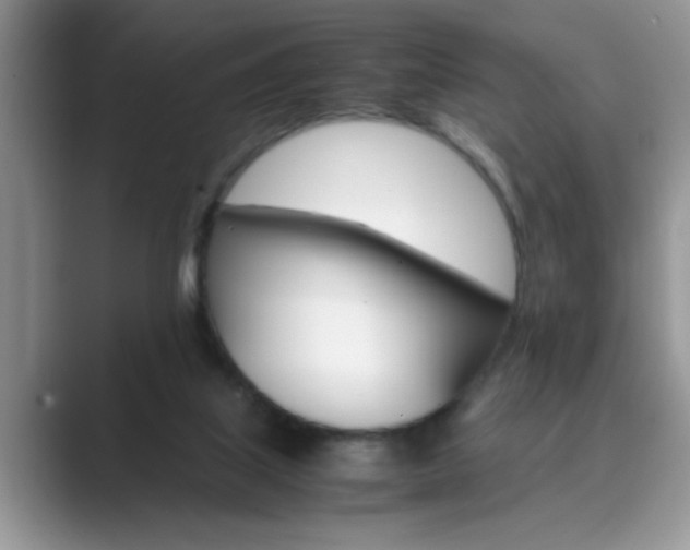 X0000089870067200707051159