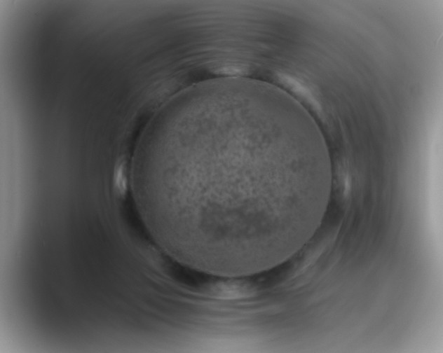 X0000089870069200707051159