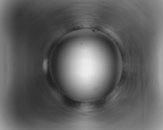 X0000089870070200707051159