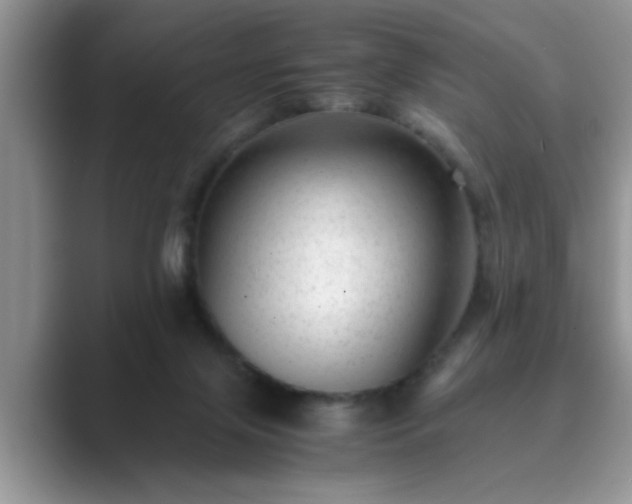 X0000089870071200707051159