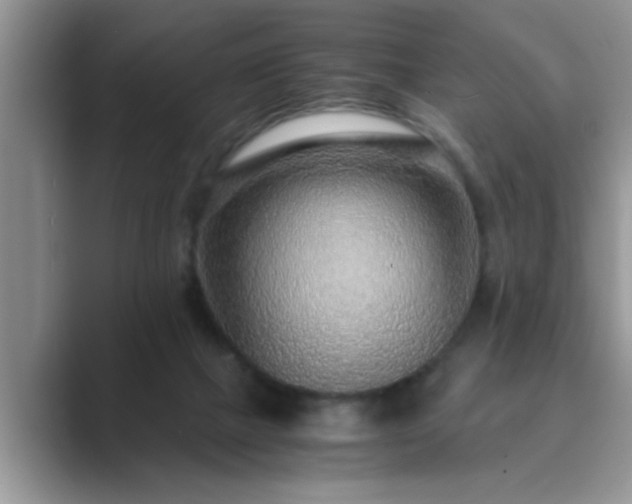 X0000089870073200707051159