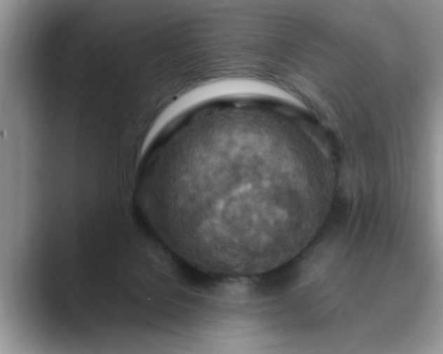 X0000089870076200707051159