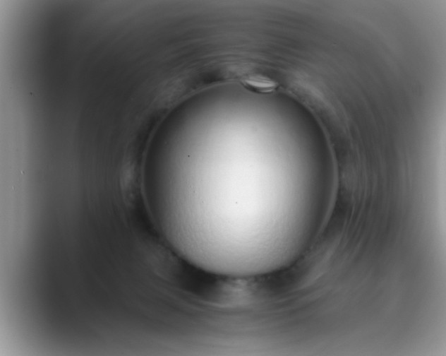 X0000089870079200707051159