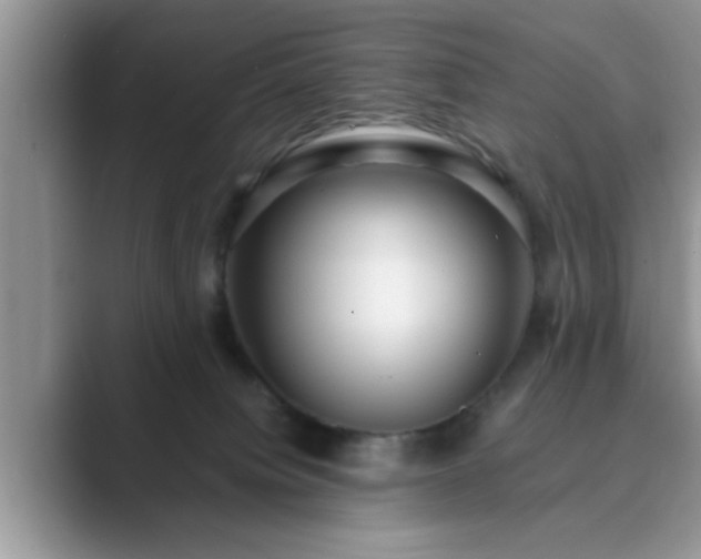 X0000089870084200707051159