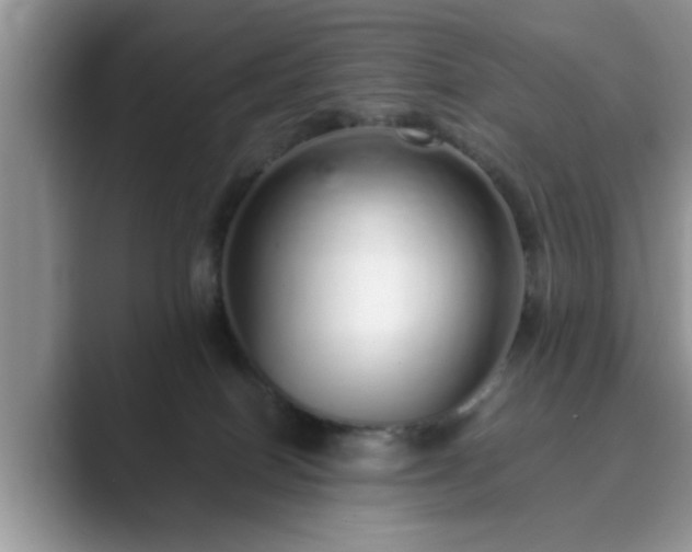 X0000089870086200707051159
