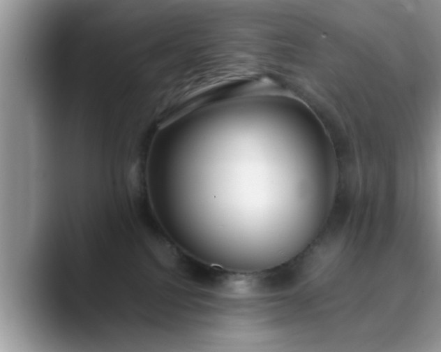 X0000089870088200707051159