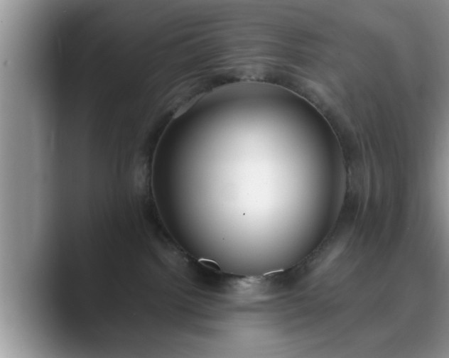 X0000089870092200707051159