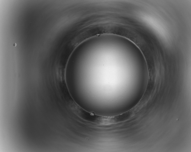 X0000089870093200707051159