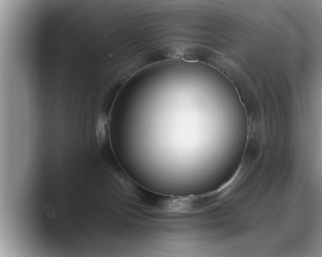 X0000089870094200707051159
